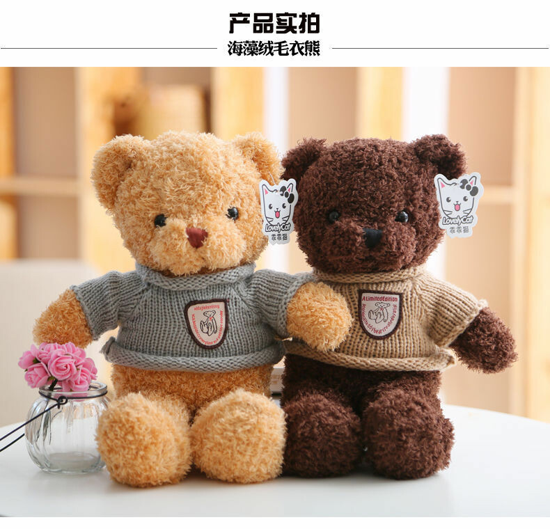 Assorted Little Bear Plush Toys (4)